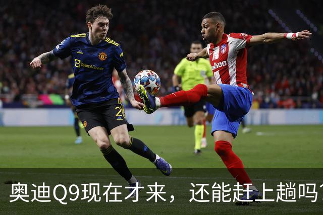 奥迪Q9现在才来，还能赶上趟吗？