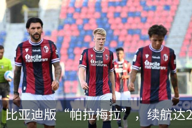 比亚迪版“帕拉梅拉”，续航达2000km，拥有50万的档次仅售15万多